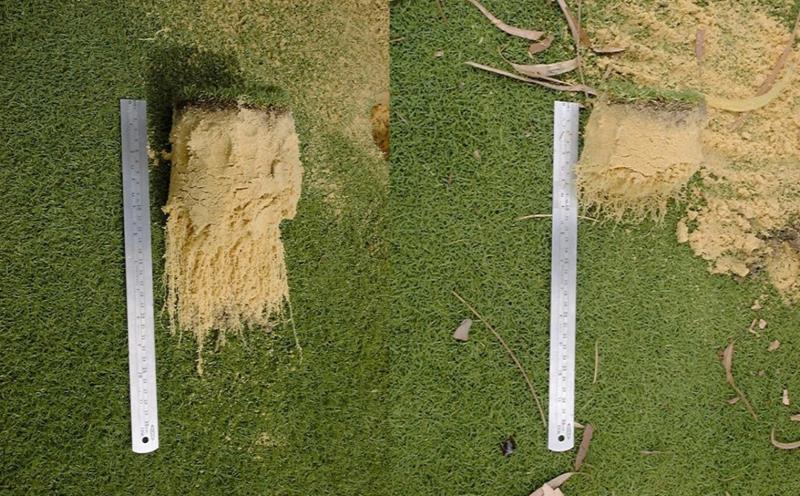 Roots Comparison