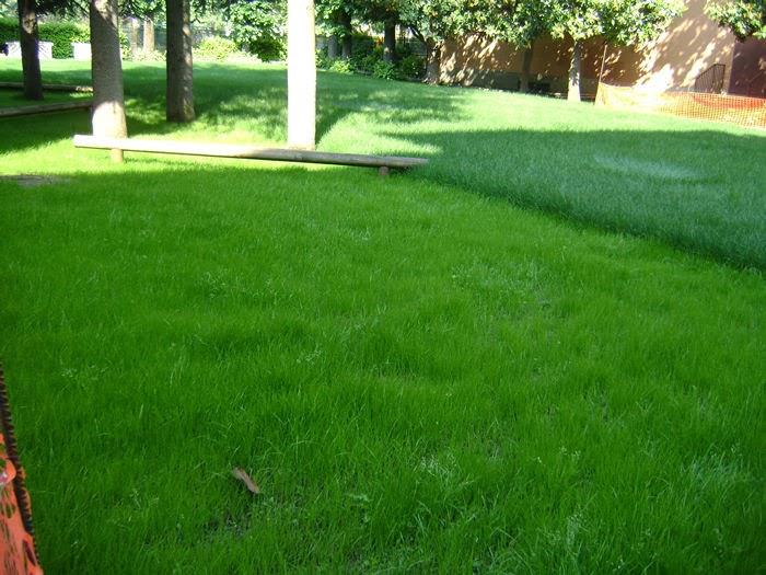 Giardino Scuola