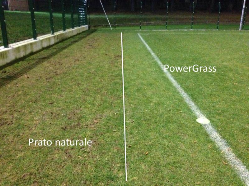 PowerGrass over winter