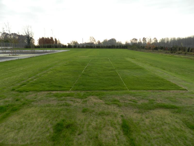 Better growth in PowerGrass